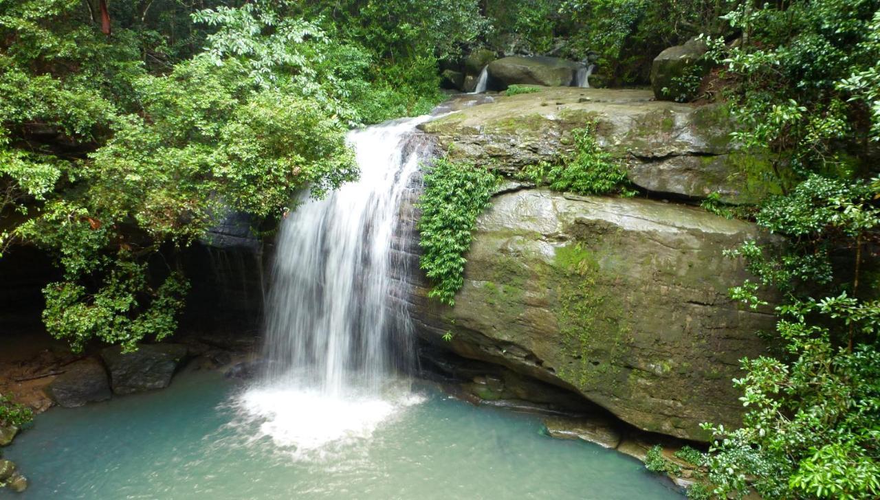 Buderim Forest Hideaway Exterior foto