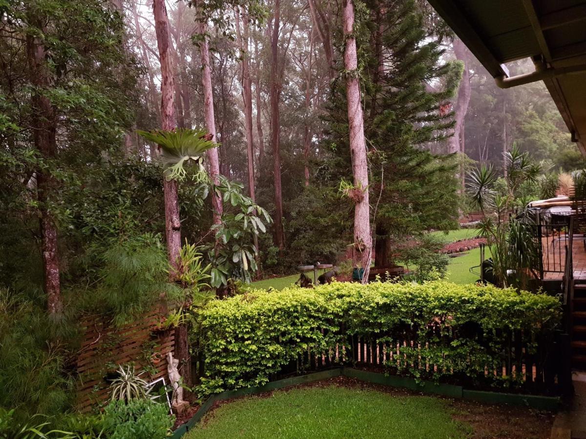 Buderim Forest Hideaway Exterior foto